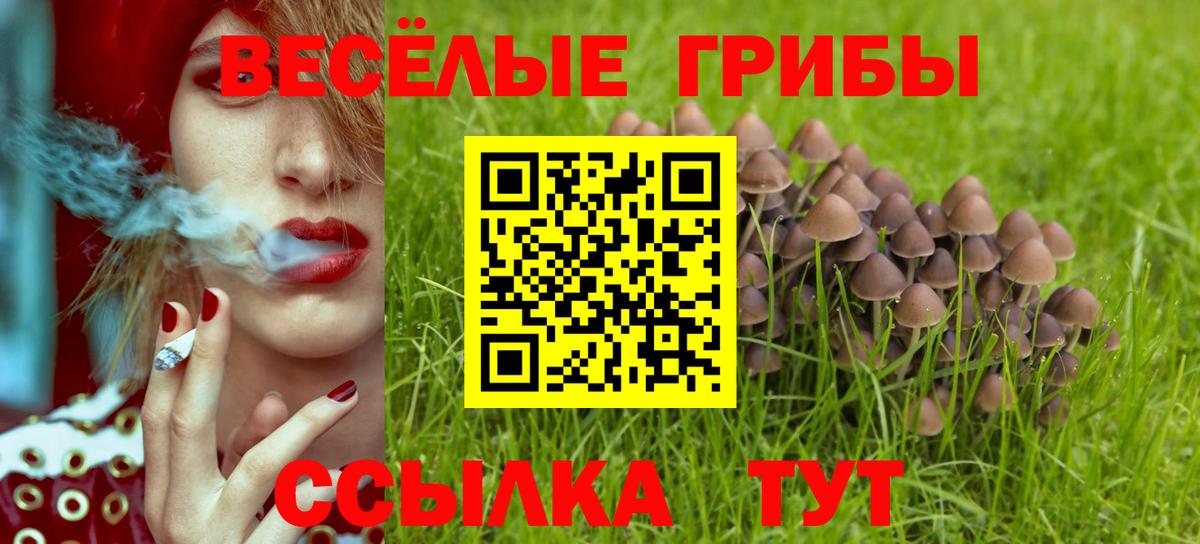 Галлюциногенные грибы прущие грибы  Вход с VPN  Луга 