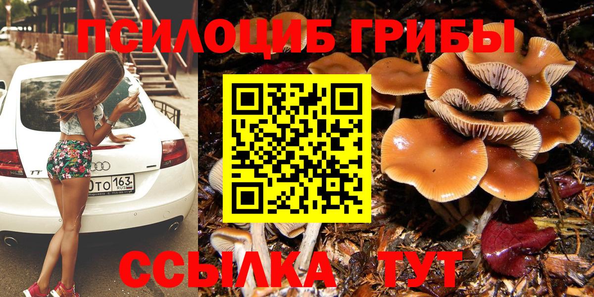 Псилоцибиновые грибы ЛСД Луга